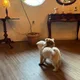 바나난