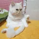 슈니