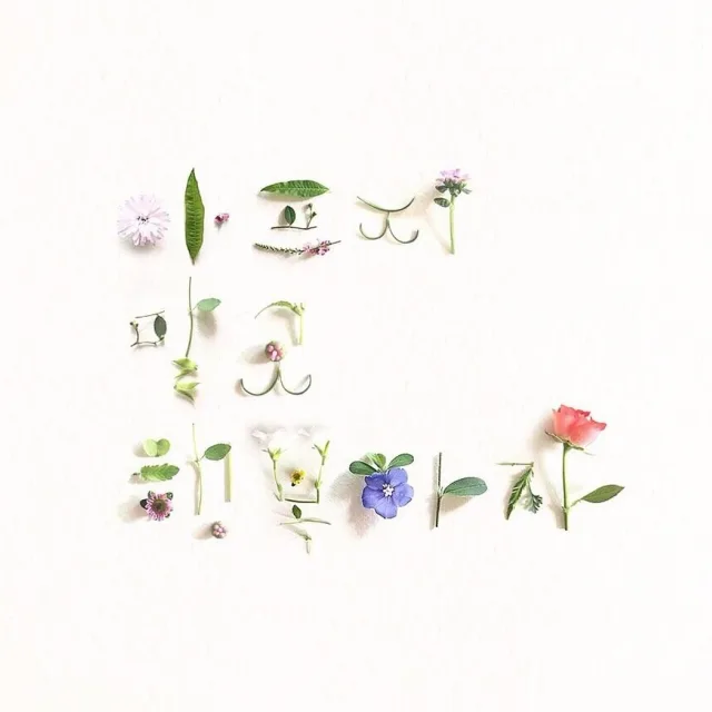 행복바라기