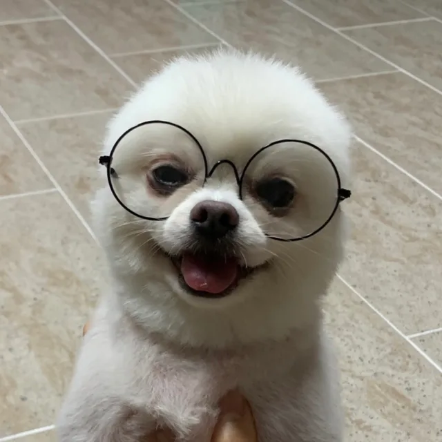 여름