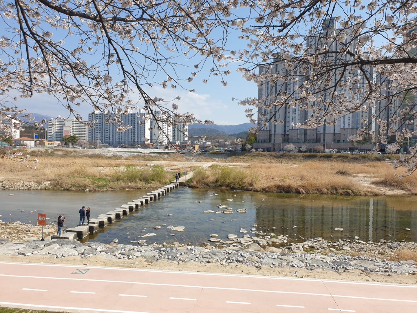 하트콩