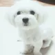 여름이