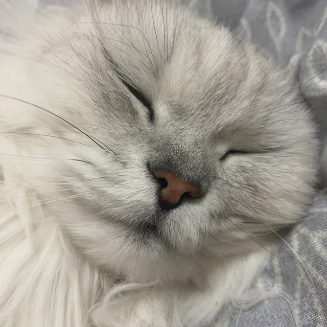 주르르
