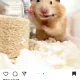 공자