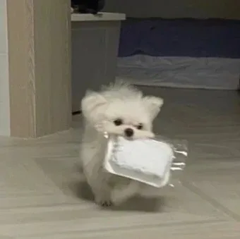 김누