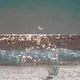 겨울