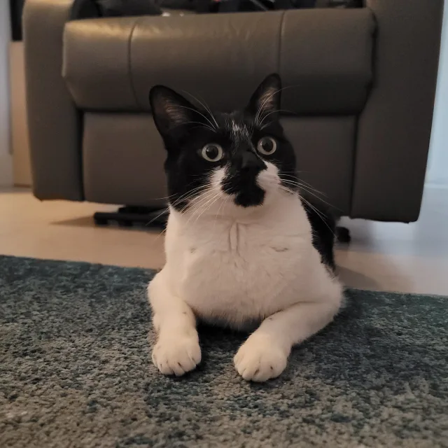 요들송