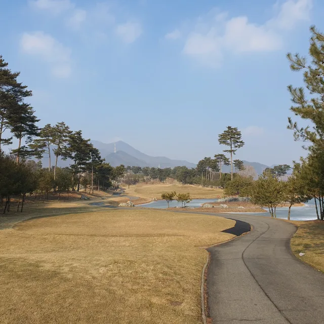 초보