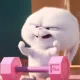 스티치v