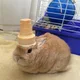 나예요