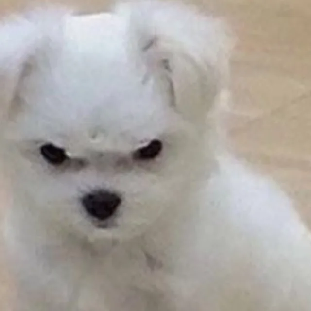 좋은거래