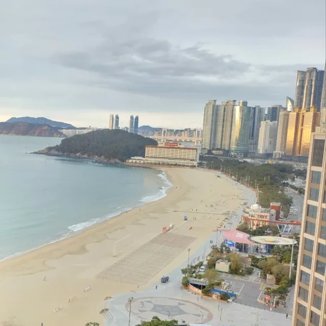 황금바다