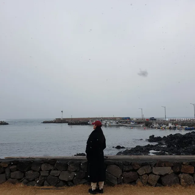 고도리