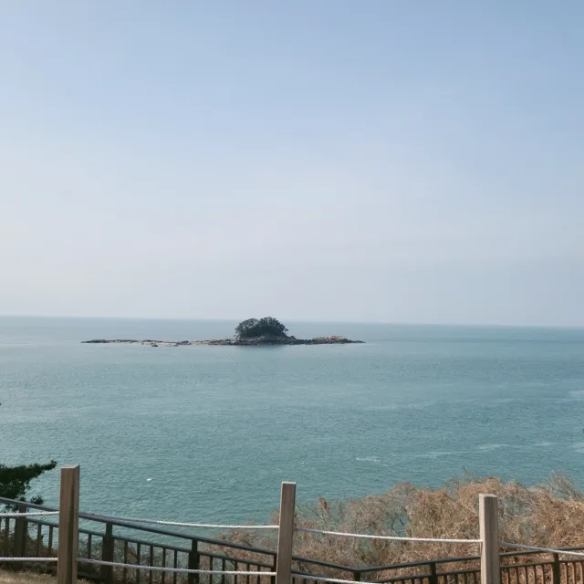 썰썰썰