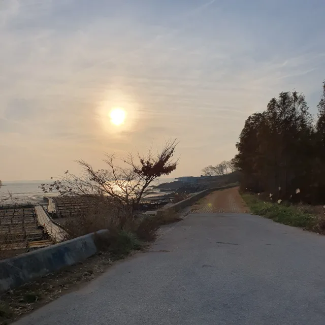 여니요니