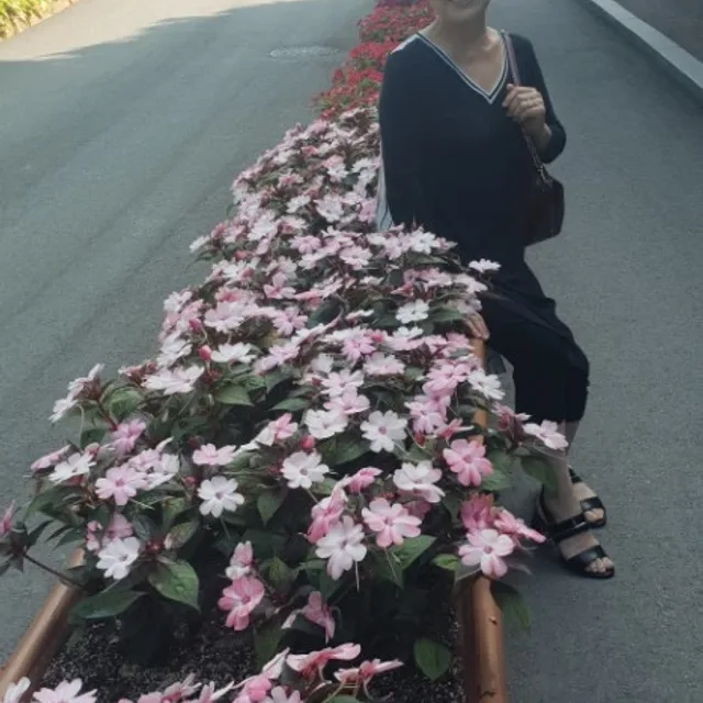 거울공주