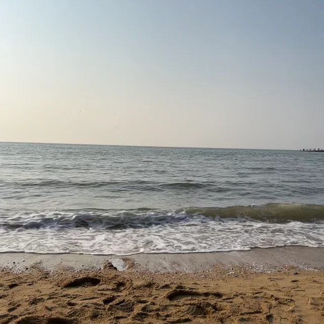 토리어멈