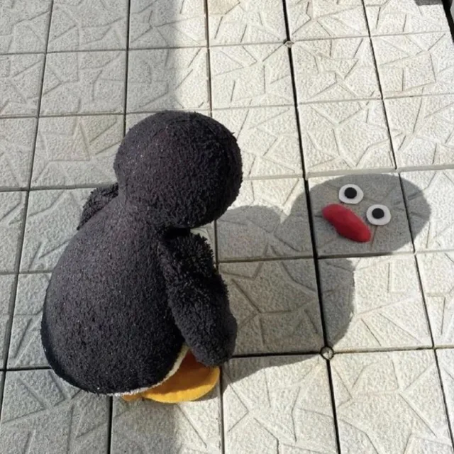 핑퐁팽퐁