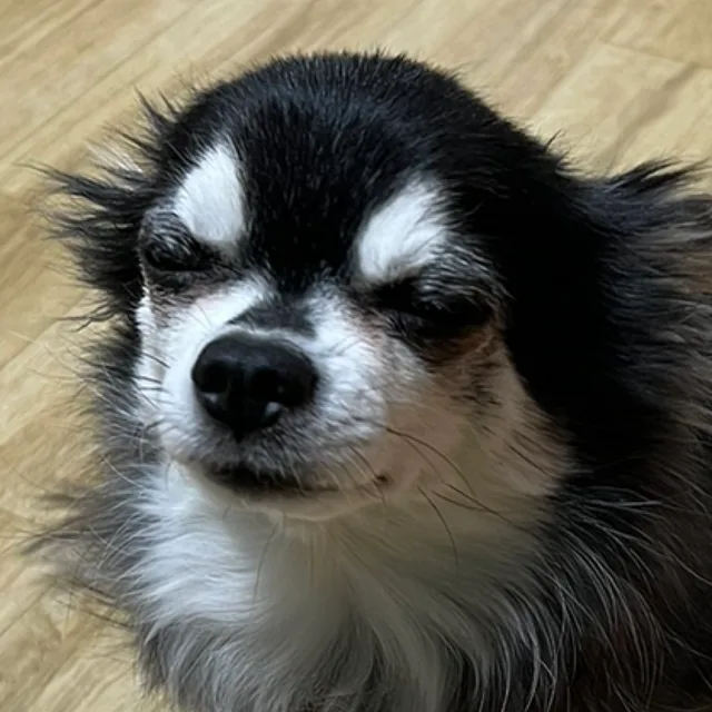 헿헿