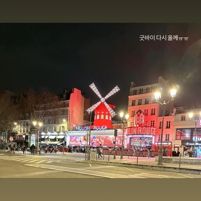 아이리스