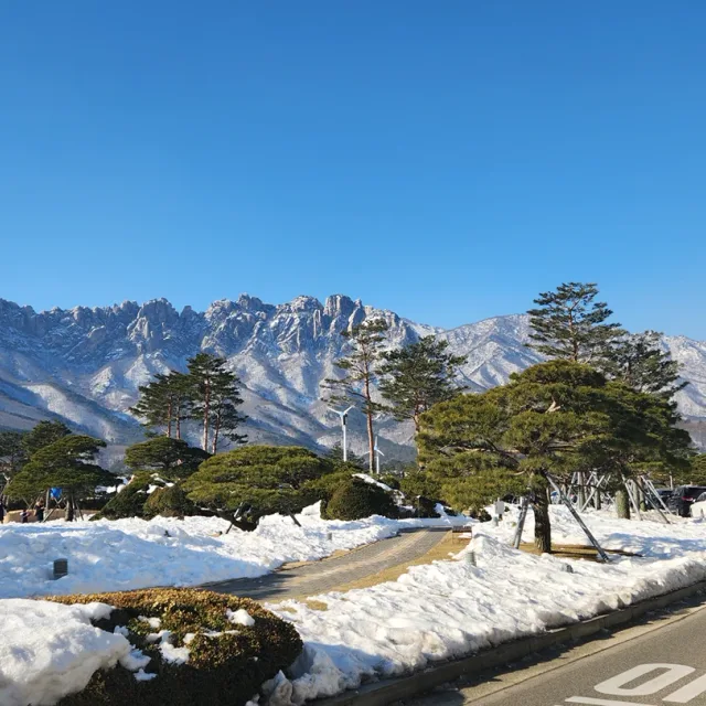 카페라떼