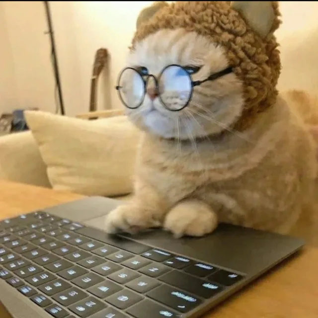 촷촤촷차챠