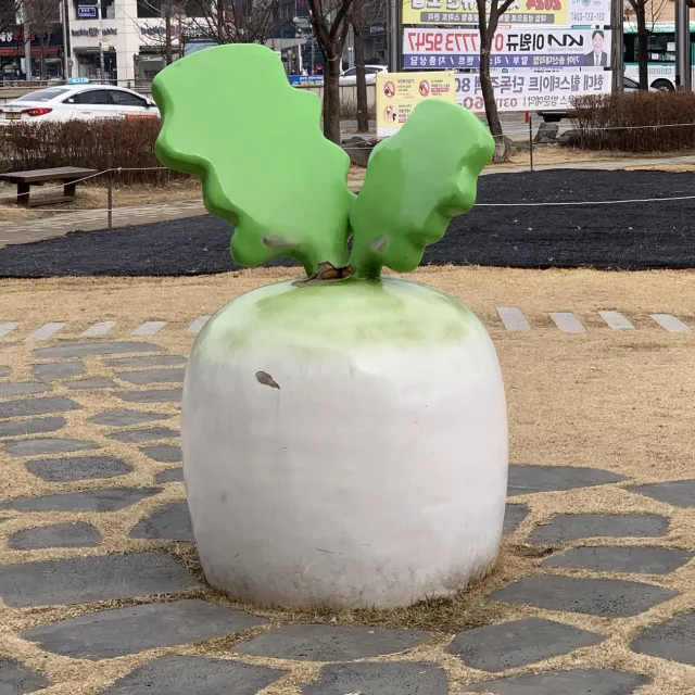 순무