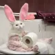 봄언니