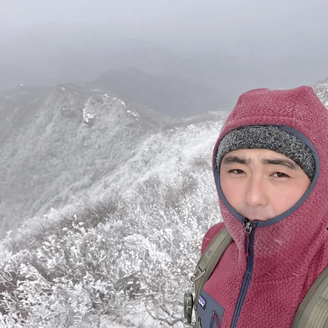 롤리