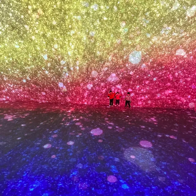 제비한마리