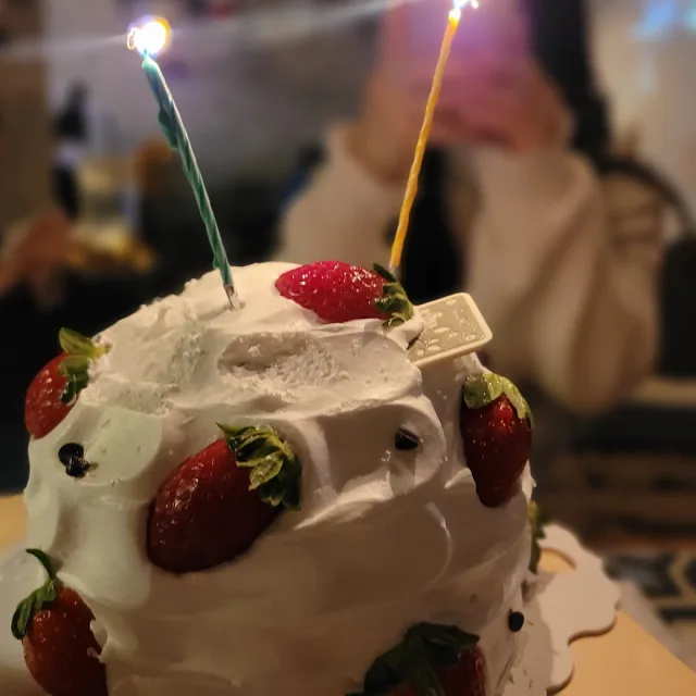 곰과여우