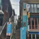곰될리