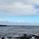 VAN2