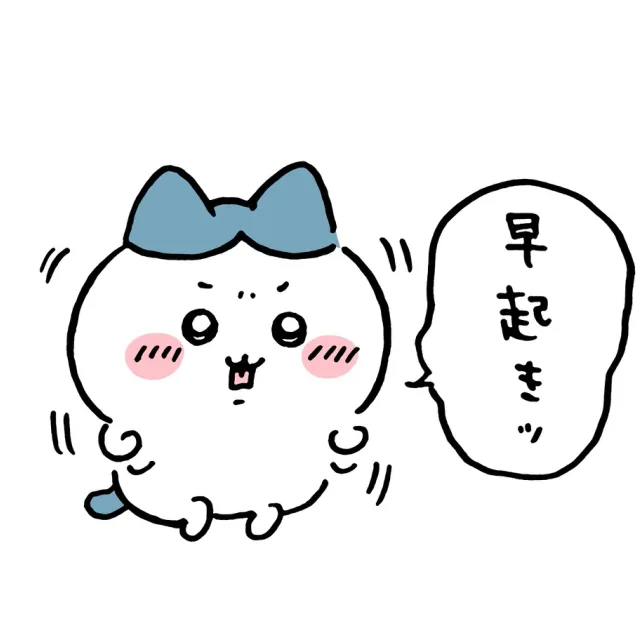 카시스오렌지