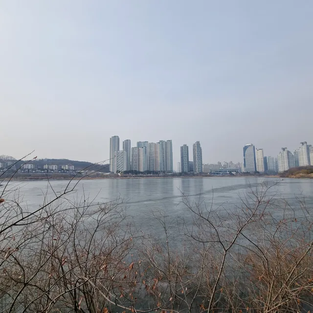 동탄마님