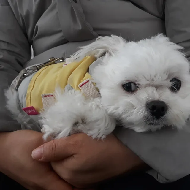 수만