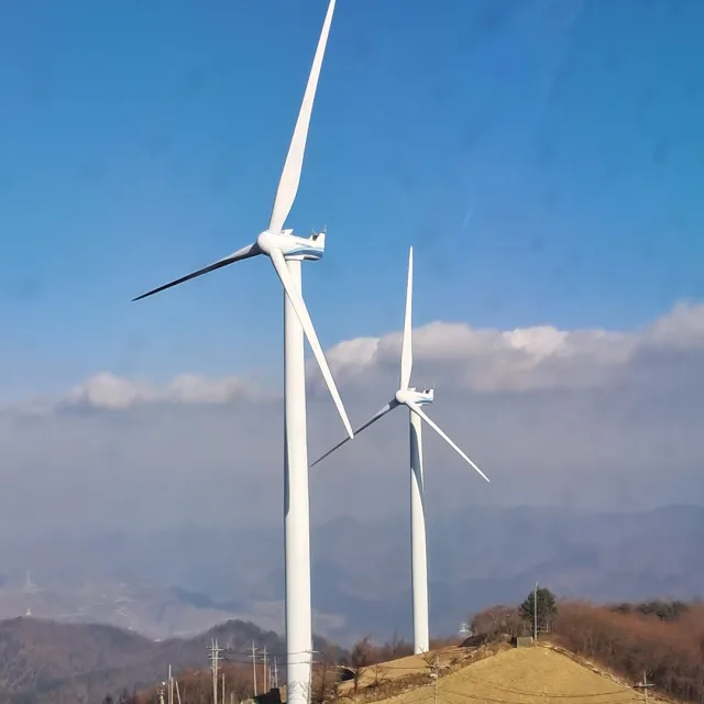 동행