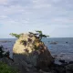 준맘