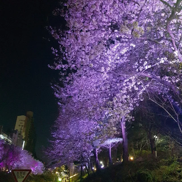 곰돌이