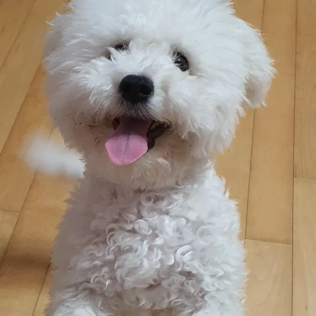 스며드는사람