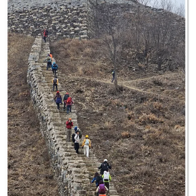 안개꽃영등포구
