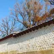달님별
