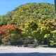 이정리