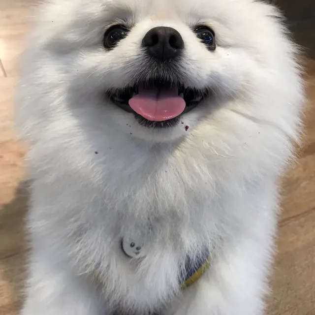 당근b