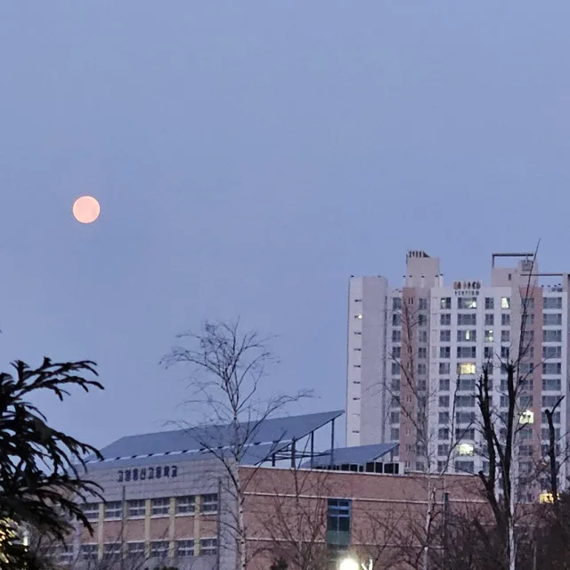 별에별거