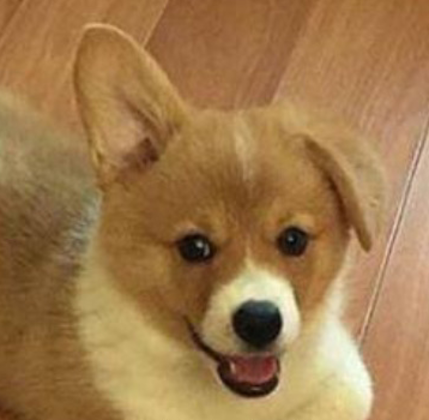 헤헿