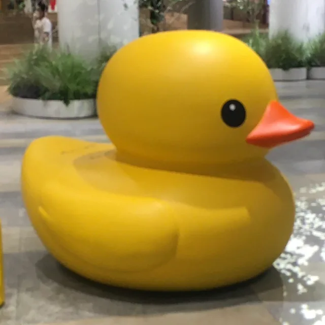 히로