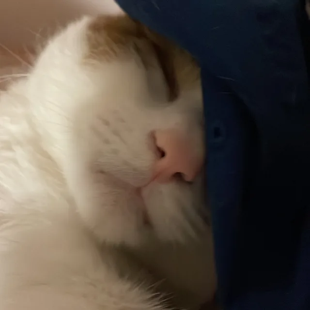 주아