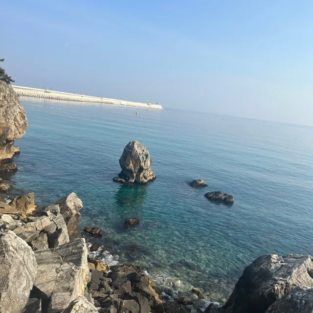 네이볼