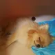 뀨뀨